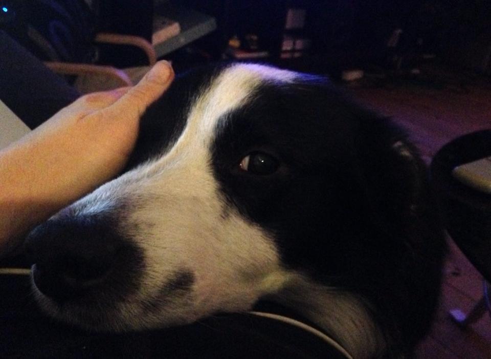 1545111_10152127683849320_1059812355_n