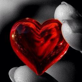 1920208_493937900714589_788602861_n