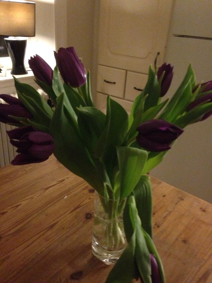 1510005_10152294781264320_1872347727_n