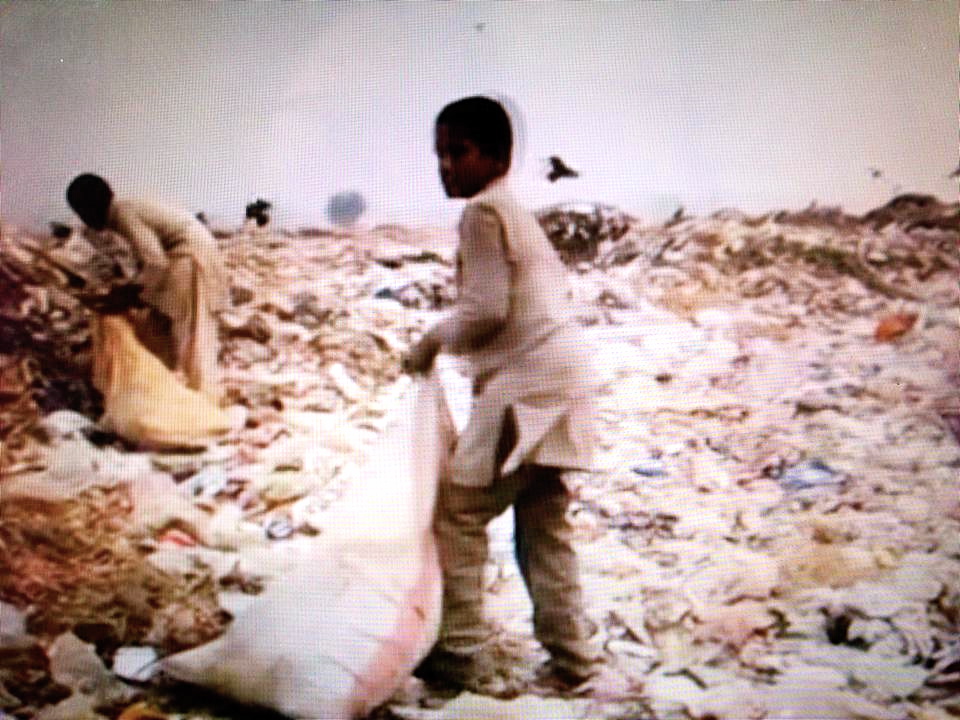 1977420_10152267039569320_423320777_n