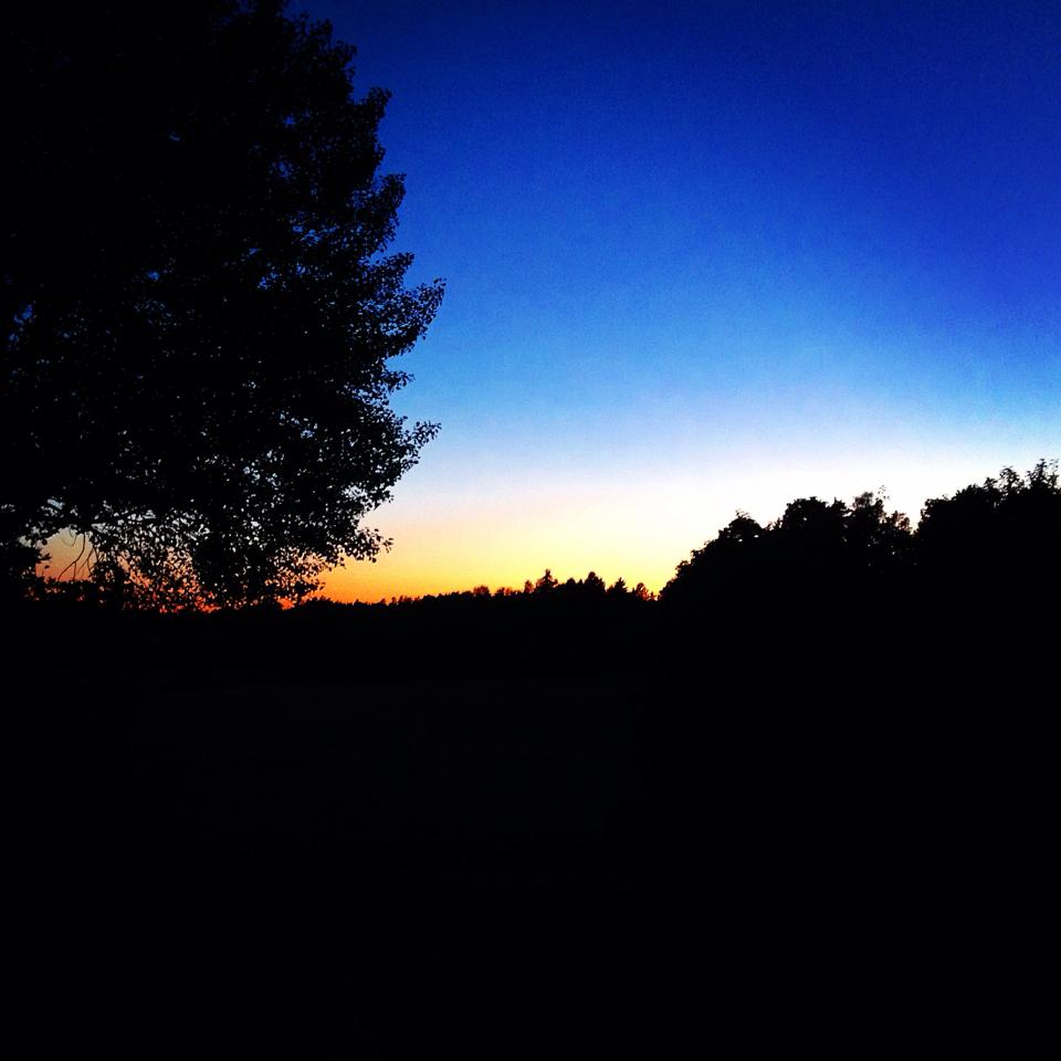 10567357_10152556462294320_973551448_n