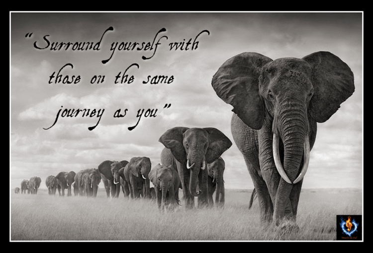 1798611_878683532175370_5718851799957678136_n