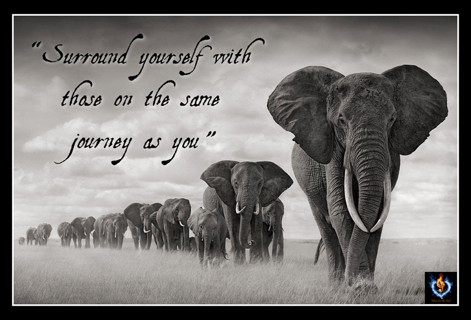 1798611_878683532175370_5718851799957678136_n